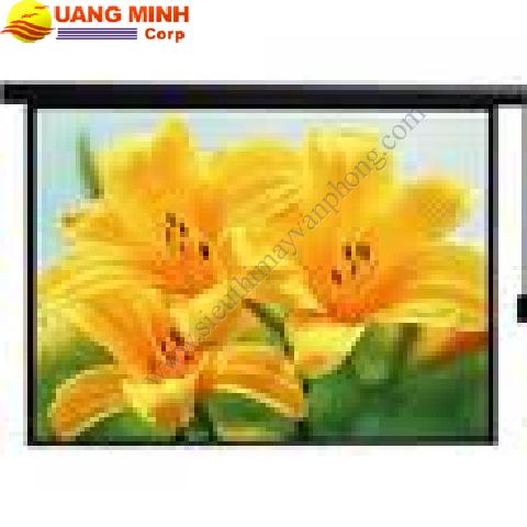 Màn chiếu điện APOLO 60 inches